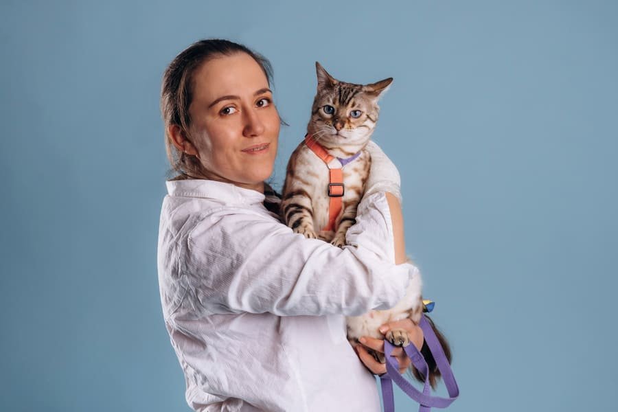 veterinaria en san cristobal de las casas